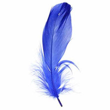 FEATHERS GOOSE 5-7" ROYAL DAZZLE-IT