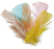 FEATHER PLUMES 4-6" 20gr SPRING MIX