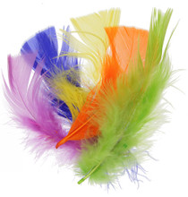 FEATHER PLUMES 4-6" 20gr NEON MIX