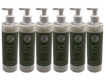 BODY LOTION 10.1oz/300ml  PEPPERMINT SAGE - CASE PACK (6)
