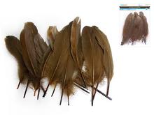 FEATHER CRAFT 8" BROWN GOOSE FEATHERS