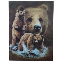 3D PICTURE 11.5"x15.5" GRIZZLY BEARS