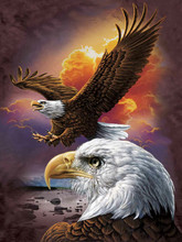 3D Picture 11.5" X 15.5" Eagle