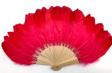 FEATHER FAN WITH WOOD HANDLE ASST.COLORS