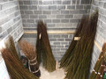 1000 x Salix Viminalis 2.5 metre Willow Rods / Whips