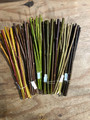 Bundle of Ten Cuttings of each of Range of Six Coloured Varieties