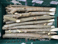 Willow Fascine Kit 3.5m Long, 15cm High