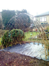 3.0m Long Living Willow Arbour (1.8m high)