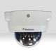Geovision GV1-IP-SYSTEM indoor IP dome cameras