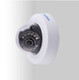 Geovision GV-EFD2100 Mini Dome IP camera Wall mounted