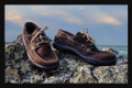 Enjoy perfect comfort with Auguin Boatshoes. Click the image to see the large variety of coulours to choose from!
Please note the dark soles are only for this colour shoe in the picture. When you choose from the swatches the shoes will be with a white sole unless it shows in a specific image.

FOR WHOLESALE PLEASE CONTACT US