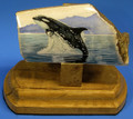 Orca - Scrimshaw by Gary Dorning