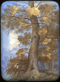 Golden Oak | Fedoskino Lacquer Box