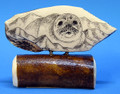 Baby Seal by George Vukson | Scrimshaw