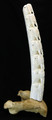 Walrus Totem | Alaskan Ivory Carving