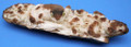 Fossil Walrus Ivory Frog Carving 