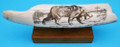 Saber Tooth Tiger - Fossil Walrus Ivory  | Scrimshaw