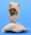 Bear with Fish - Fossil Walrus Tooth | Scrimshaw 