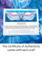 Certificate: Blue Angel Wings