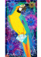Wearable Art - the vibrant & versatile Macaw Silk Scarf