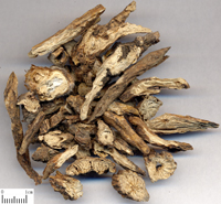 baitouweng-yinpian-l.jpg baitouweng-yinpian-l.jpg