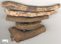 chishao-yaocai-l.jpg chishao-yaocai-l.jpg