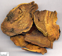 dahuang-yinpian-l.jpg dahuang-yinpian-l.jpg