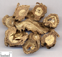 duhuo-yinpian-l.jpg duhuo-yinpian-l.jpg