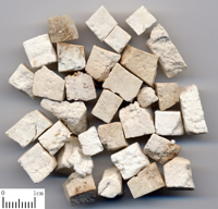 fuling-yinpian-l.jpg fuling-yinpian-l.jpg
