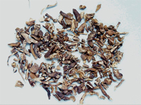 gansui-yinpian-l.jpg gansui-yinpian-l.jpg