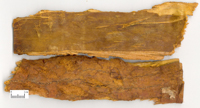 huangbo-yaocai-l.jpg huangbo-yaocai-l.jpg