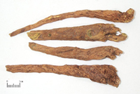 huangqin-yaocai-l.jpg huangqin-yaocai-l.jpg