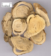 kushen-yinpian-l.jpg kushen-yinpian-l.jpg