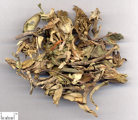 longdan-yinpian-l.jpg longdan-yinpian-l.jpg