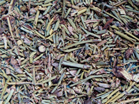 mahuang-yinpian-l.jpg mahuang-yinpian-l.jpg