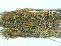 qinghao-yaocai-l.jpg qinghao-yaocai-l.jpg