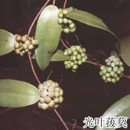 tufuling-1.jpg tufuling-1.jpg