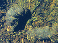 zhuling-yuantai-l.jpg zhuling-yuantai-l.jpg