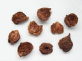 SangPiaoXiao (Egg Capsule of Mantid)---桑螵蛸（powder100g/bottle)