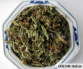 Shenjincao(Lycopodti herba)---伸筋草 