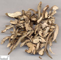Shicangpu(Grassleaf Sweetflag Rhizome)---石菖蒲（powder100g/bottle)