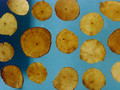  Wuyao ( Combined Spicebush Root)---乌药（powder100g/bottle)