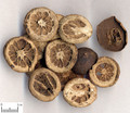 ZhiKE (Immature Orange PEEL )---枳壳