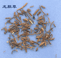 Longdan ( Chinese Gentian )/(Radix Gentianae)---龙胆