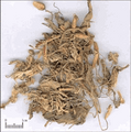 Zihuadiding ( Violae/ Violet Herb )---紫花地丁