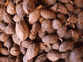Caoguo ( Fructus Tsaoko)---草果