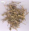 XiangRu (Elsholtzia herb)---香薷
