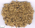 Xiaohuixiang ( Fennel)---茴香