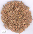 Laifuzi ( Radish Seed)---莱菔子