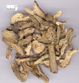 Qianhu (Hogfennel Root)---前胡